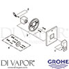 Grohe 19899000 Spare Diagram