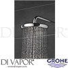 Grohe 27922001 Spare Shower Head