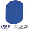 Grohe Rapido T Mixer Concealed Installation Shower Spare Part