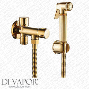 FYHH-JZHY Toilet Bidet Tap Golden Brass Single Cold Bathroom Toilet Shower Blow-Fed Spray Gun Nozzle Bidet Tap Anal Cleaning Ass Bidet Set C (Set C) Spare Parts