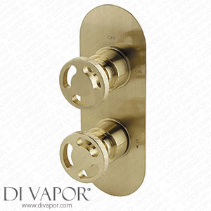 Arezzo Brushed Brass Industrial Style Round Modern Twin Concealed Shower Valve - AZBBIV1 Spare Parts