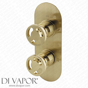 Arezzo Brushed Brass Industrial Style Round Modern Twin Concealed Shower Valve with Diverter - AZBBIV2 Spare Parts