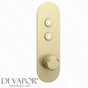 Arezzo Brushed Brass Industrial Style Push Button Shower Valve (2 Outlets) - AZPB02RBB Spare Parts