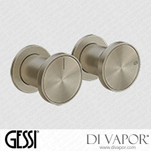 Gessi External Parts Wall-mounted Two-ways Shower Mixer (Art. 66079) Spare Parts