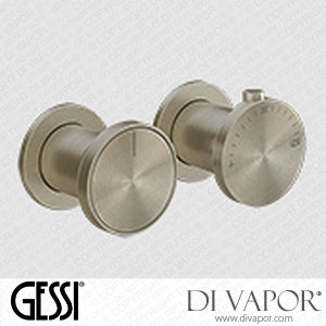 Gessi External Part Wall-mounted Thermostatic One-way Shower Mixer (Art. 66132) Spare Parts