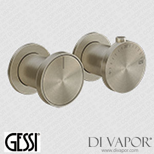 Gessi External Part Wall-mounted Thermostatic Two-ways Shower Mixer (Art. 66134) Spare Parts