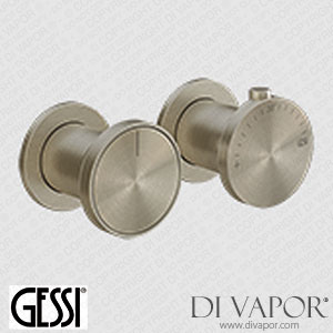 Gessi External Part Wall-mounted Thermostatic Three-ways Shower Mixer (Art. 66136) Spare Parts