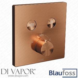 Blaufoss 201379 Smartbox Switch-Line Thermostatic Shower with Built-In Valve 2 Outputs Spare Parts